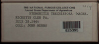 Image Associated With the Occurence